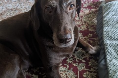 PXL_20220426_195212942