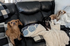 PXL_20231008_194542986