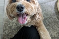 PXL_20231111_182937873