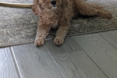 PXL_20240103_174030583