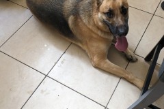 PXL_20240418_155226418