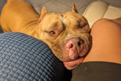 PXL_20240421_002644814